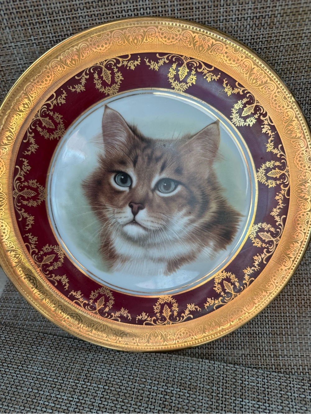 Limoges Cat Portrait Plate in Burgundy and Gold